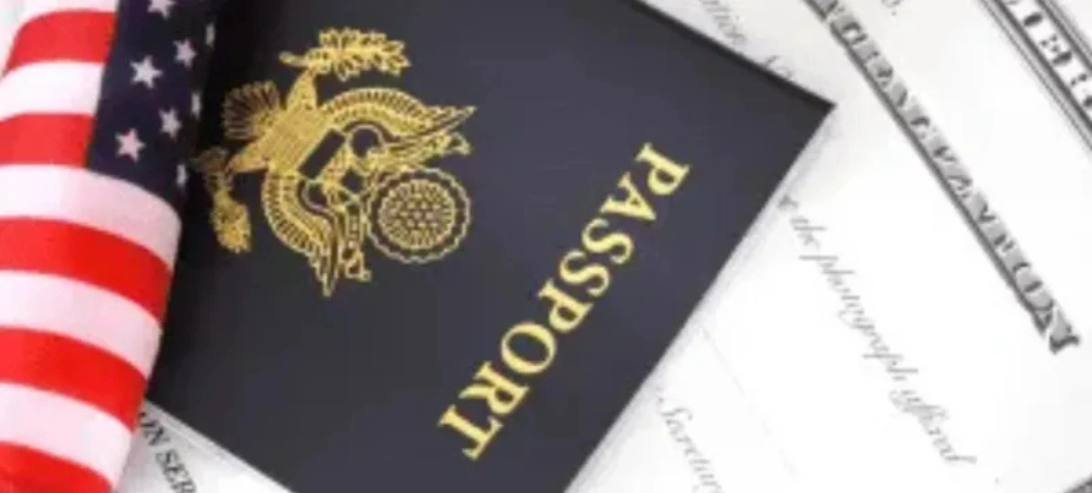 Immigration Lawyers